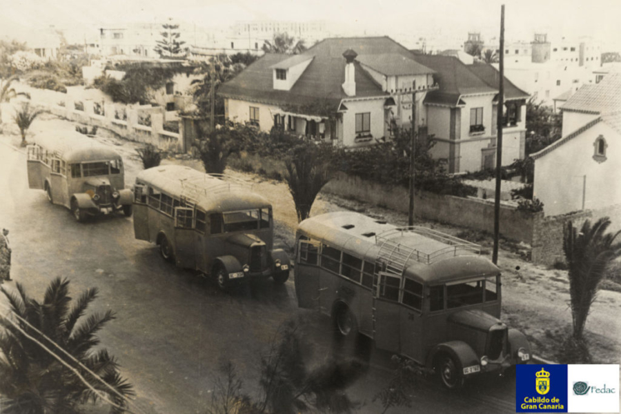 Buses 1955
