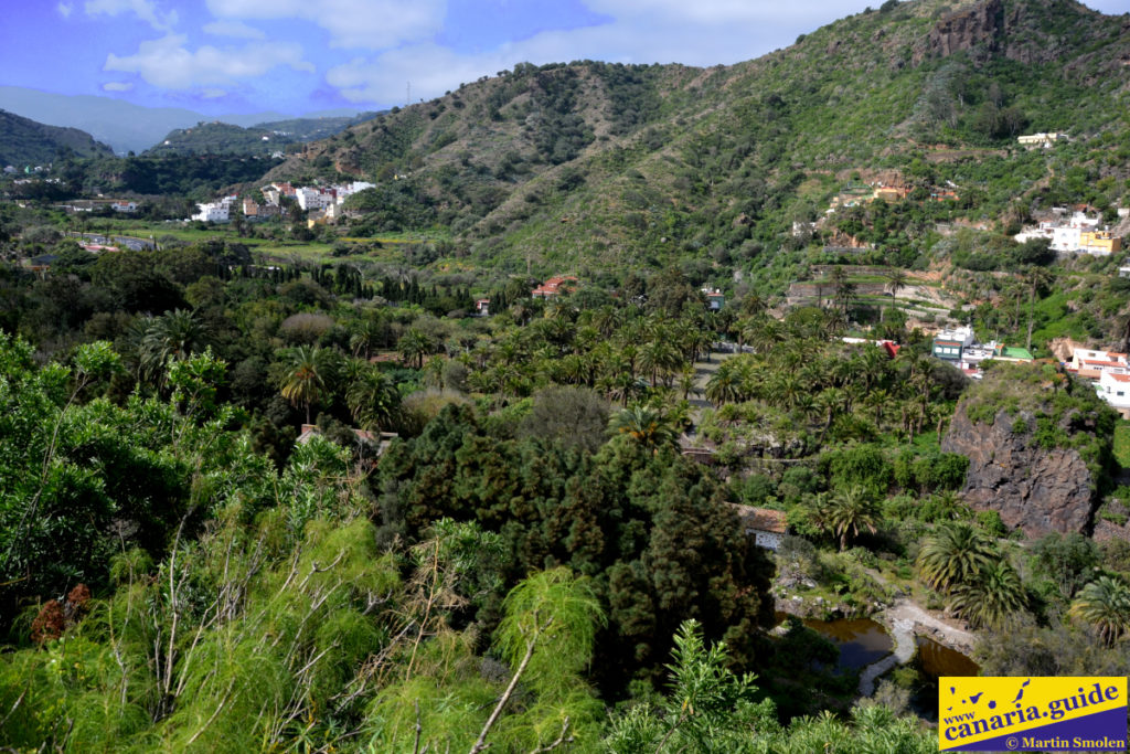 Jardín Botánico Canario Viera y Clavijo