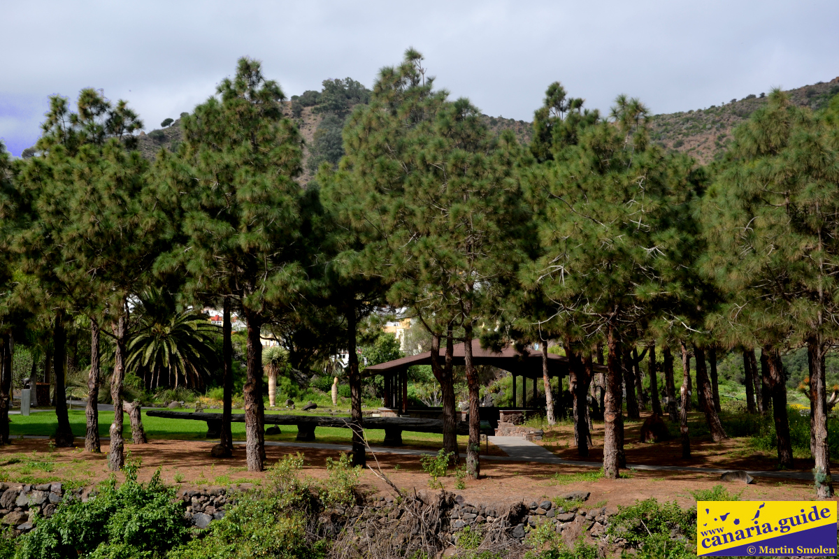 Jardín Botánico Canario Viera y Clavijo