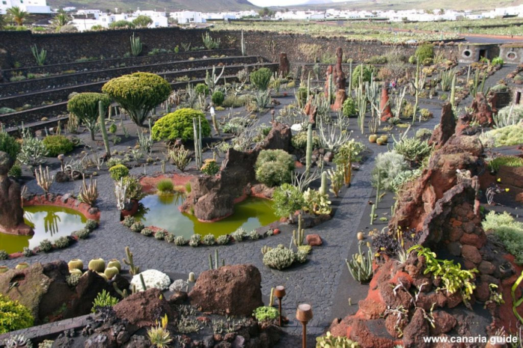 Lanzarote, Jardín de Cactus